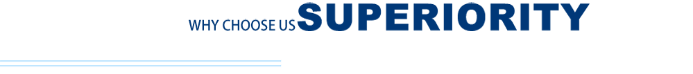 企業五大優勢